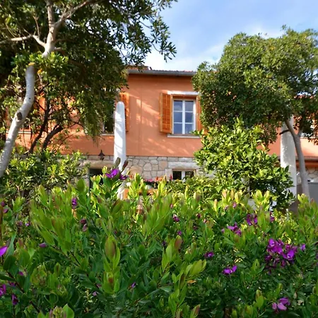Villa For